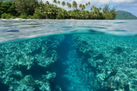 Single private villa in the heart of the World's Coral Triangle