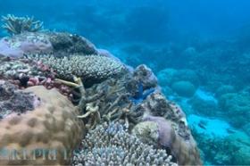 Iconic Multi-Island Development Opportunity for Global Brands
