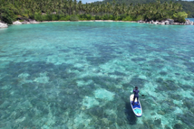 Dual Beach Frontage, existing coconut plantation, amazing headland with seasonal waterfall