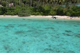 Dual Beach Frontage, existing coconut plantation, amazing headland with seasonal waterfall
