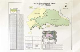 Large property with Pacuare Forest view and development potential