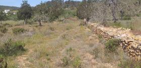 Land in the property Paradisiacal rustic estate in Ibiza