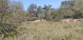 Paradisiacal rustic estate in Ibiza land