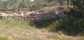 Paradisiacal rustic estate in Ibiza wall