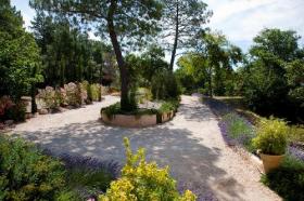 Beautiful Provencal house, 2 ha 300 - 7 bedrooms - 15 x 7m swimming pool