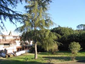 Villa in Roma 600 m2 on 3 levels with pool 60 m2, park 2000 m2, consisting of 4 apartments 