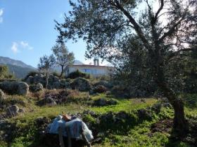 In a mountain village facing the Aegean Sea, house of character on land of 2500 m2