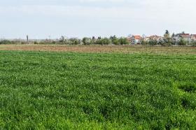 Land in Petrovaradin - Novi Sad, Serbia 