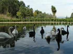 Quinta Da Regedoura property is incorporated into 2 villages - for sale