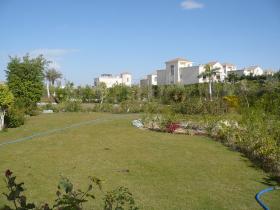 Luxury villa in the heart of Cairo
