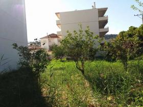 Land property for a 665 m2 building , in front of the sea