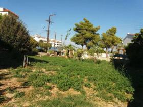 Land property for a 665 m2 building , in front of the sea
