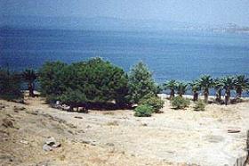 Beautiful land by the sea