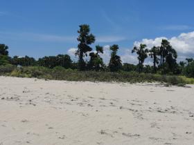 Beach front land in Sumba Est