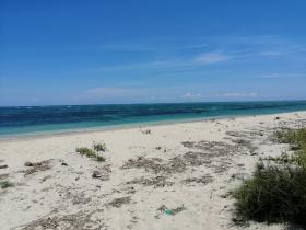 Beach front land in Sumba Est