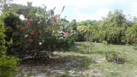 House in Rangiroa in French Polynesia