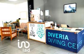 Diving Center - 200 m2 is located 100 m from the beach