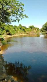 500 hectares in the immediate vicinity of the capital Asuncion, Paraguay