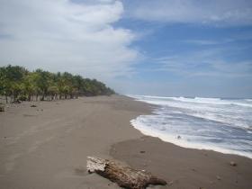 Hidden serene Beach Front and ocean view land for sale