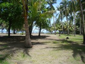 Hidden serene Beach Front and ocean view land for sale