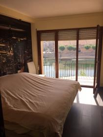 Big beautiful apartment with a river view
