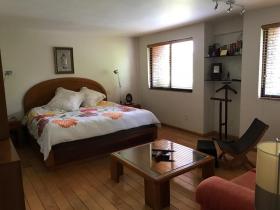 Apartment near Coyoacan historic center with a full green view