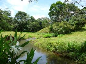 For sale 84 ha of building land with real estate project
