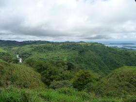 For sale 84 ha of building land with real estate project