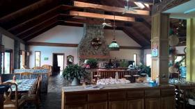 House with 81 acres forest and multiple waterfalls