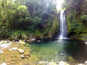 House with 81 acres forest and multiple waterfalls