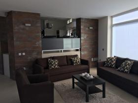 Luxury Villa near Playa Paraiso