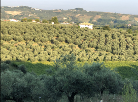 Country house for sale in Loreto Aprutino Abruzzo, Italy