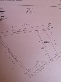 Land for sale in Bir Jdid region Doukkala