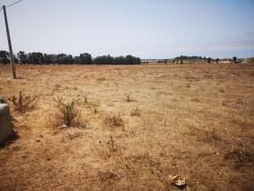 Land for sale in Bir Jdid region Doukkala