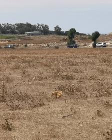 Land for sale in Bir Jdid region Doukkala